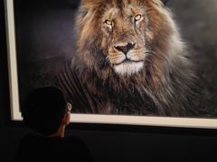 -罗红摄影艺术馆