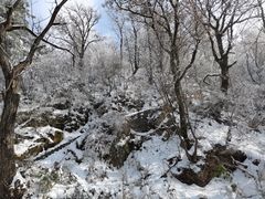 -终南山南五台景区
