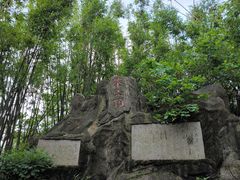 -东莞市大岭山森林公园