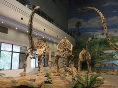-自贡恐龙博物馆