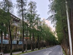 -南沙天后宫景区