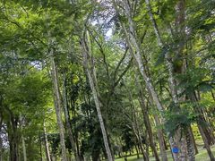 -中国科学院西双版纳热带植物园
