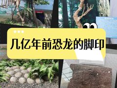 -延庆地质公园博物馆