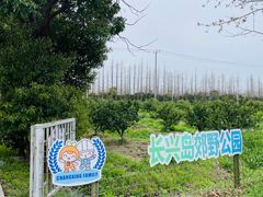 -上海长兴岛郊野公园