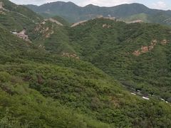 -四川简阳羊肉汤火锅(望花路西里店)