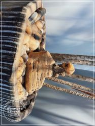 -不迫先生专业男士剪发