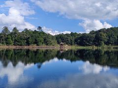 -海南热带雨林国家公园吊罗山景区