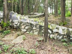 -火炉山森林公园