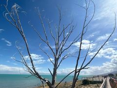 -青海湖国家重点风景名胜区