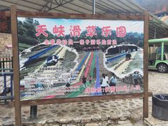 -岳西天峡风景区