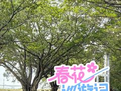 -大湾区中央湿地公园