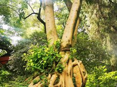 -成都武侯祠博物馆