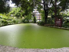 -成都市活水公园