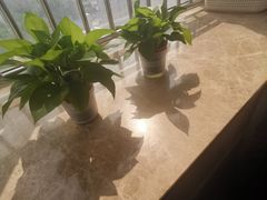 -屿家轻奢农家小院(十三陵店)