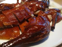 -滇铺子·云南特色菜·第九届野生菌美食节(东风东路c86店)