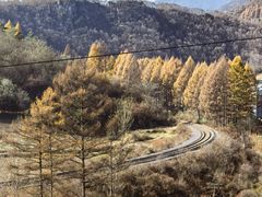 -五女峰国家森林公园