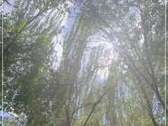 -艾提尕尔清真寺