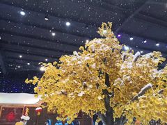 -宁波冰雪大世界(北仑区)