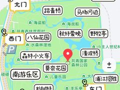 -上海共青森林公园