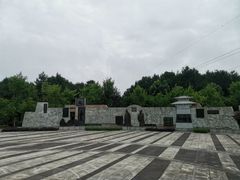 -铁山坪森林公园