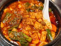 -陈麻婆豆腐总店
