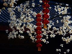 -杭州上天竺法喜讲寺