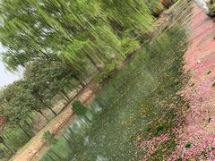 -西安浐灞国家湿地公园
