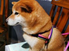 -大家发海鲜城夜排档(华山中路店)