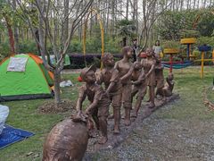 -合肥滨湖国家森林公园