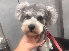 -宠福鑫康馨动物医院·骨科·眼科