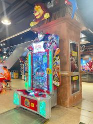 -卡通尼·Safari非洲探索乐园·生日会(金桥国际商业广场店)