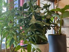 -Cafe Alice咖啡爱丽丝(奥城店)