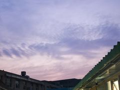 -新疆红山干果市场
