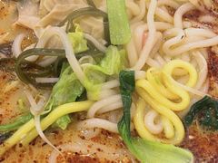 -刘文祥麻辣烫(清河毛纺路店)