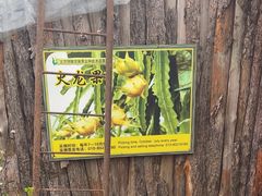 -呀路古热带植物园