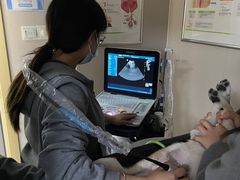 -安安宠医·臻爱宠物医院·宠保定点(营门口路分院)