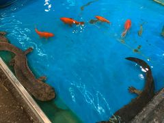 -万宝海鲜舫(劳动公园店)
