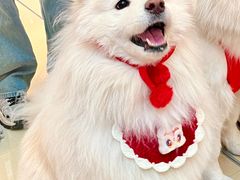 -龙湖成都上城天街