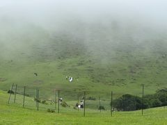-大姆山草场
