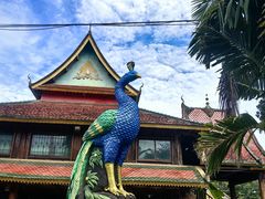 -西双版纳傣族园