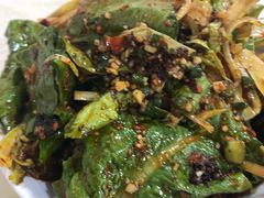 活捉莴笋-东吴霸王兔(松青路店)