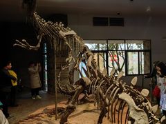 -自贡恐龙博物馆