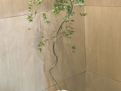 -梅花境(万科店)