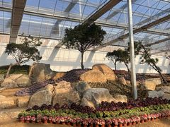-沂蒙云瀑洞天景区