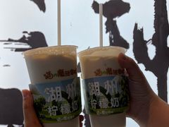 -猫的魔法密林(衣裳街店)