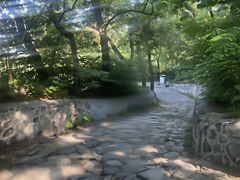 -阳台山自然风景区