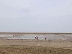 -启东黄金海滩景区