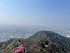 -杭州半山国家森林公园