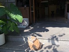 -谷咖啡·鲜花绿植花园餐厅