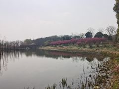 -同里国家湿地公园